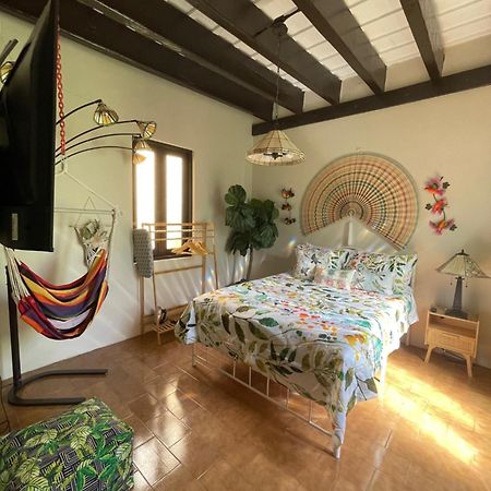 The Garden Apartment, The Willow Apartment, & The Tropical Apartment At Casa Of Essence In Old Сан-Хуан Экстерьер фото